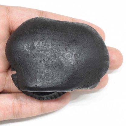 166gms-Golden-Garud-Narayan-Shaligram-Back