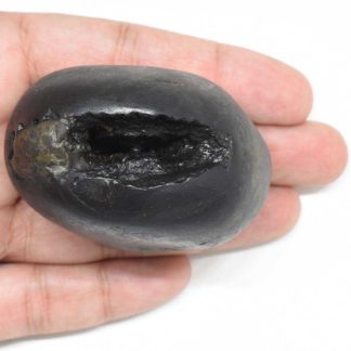 175gms-Laxmi-Vasudeva-Shaligram