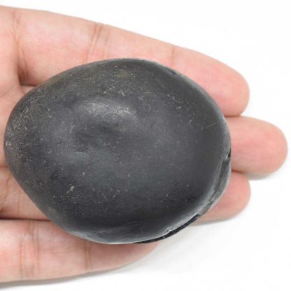 175gms-Laxmi-Vasudeva-Shaligram-Back