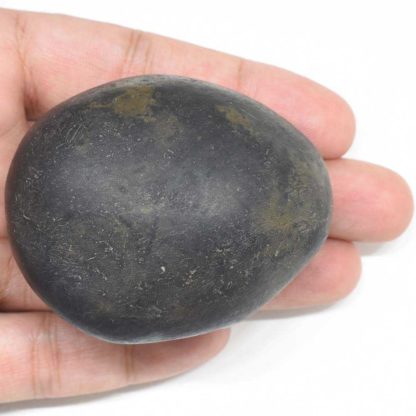 175gms-Laxmi-Vasudeva-Shaligram-Top