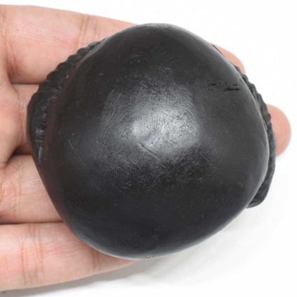 179gms-Laxmi-Ganesha-Shaligram-Back