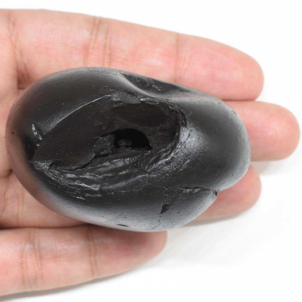 180gms Krishna Shaligram Shila from Gandaki River Nepal