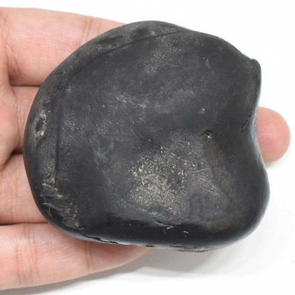 181gms-Parshurama-Shaligram-Back