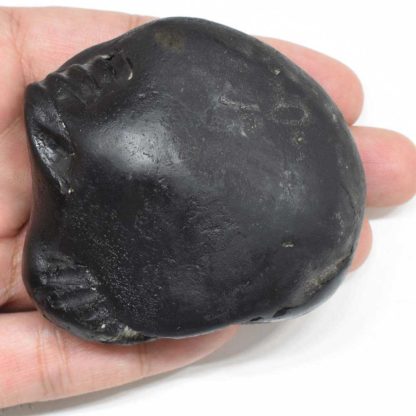 181gms-Parshurama-Shaligram-Top