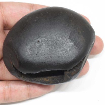 187gms-Laxmi-Narayan-Shaligram-Top