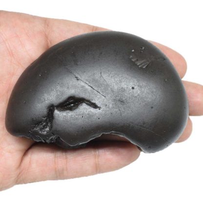 189gms-Matsya-Shaligram-Back