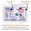 2-Mukhi-Rudraksha-Nepal-Lab-Certificate
