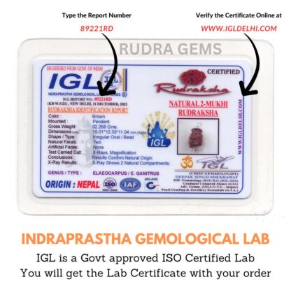 2-Mukhi-Rudraksha-Nepal-Lab-Certificate