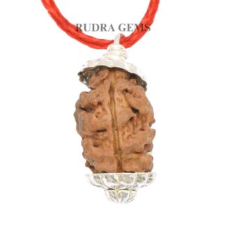 2-Mukhi-Rudraksha-Nepal-Silver-Pendant