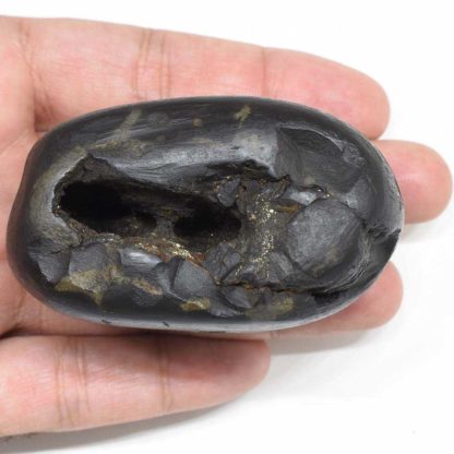 200gms-Laxmi-Narayan-Shaligram