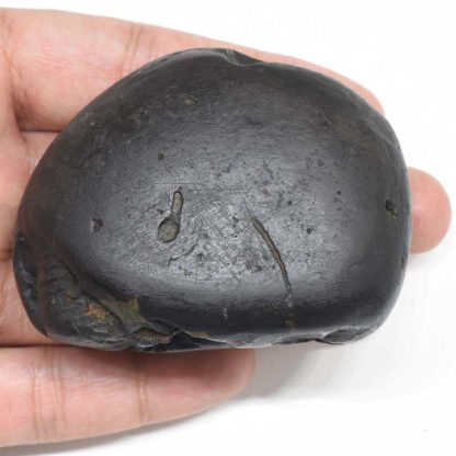 200gms-Laxmi-Narayan-Shaligram-Back