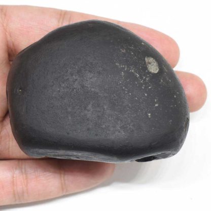 200gms-Laxmi-Narayan-Shaligram-Top