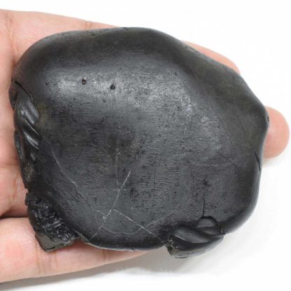 201gms-Kurma-Shaligram-Back