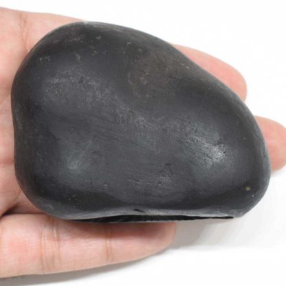 208gms-Kamdhenu-Shaligram-Back