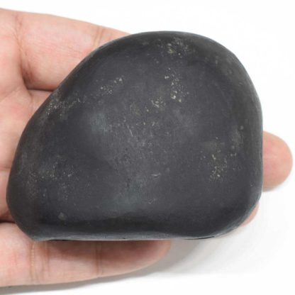 208gms-Kamdhenu-Shaligram-Top