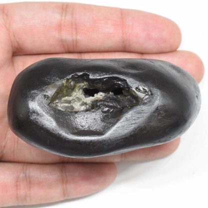 228gms-Rama-Shaligram