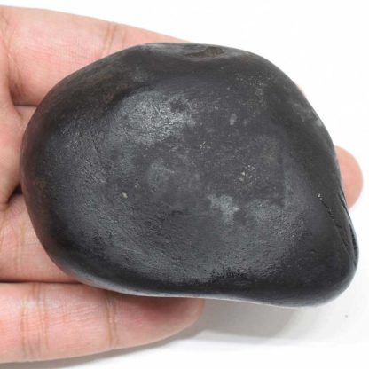 228gms-Rama-Shaligram-Back