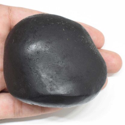 230gms-Golden-Garud-Narayan-Shaligram-Back