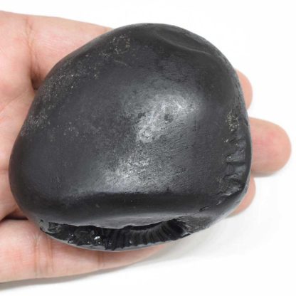 230gms-Golden-Garud-Narayan-Shaligram-Top