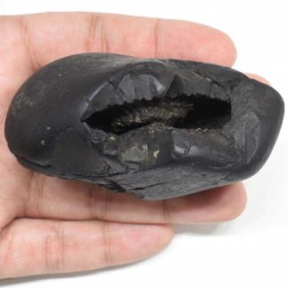 231gms-Kamdhenu-Shaligram