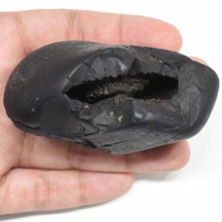 231gms-Kamdhenu-Shaligram