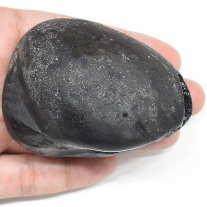 257gms-Golden-Garud-Narayan-Shaligram-Back