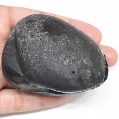 257gms-Golden-Garud-Narayan-Shaligram-Top