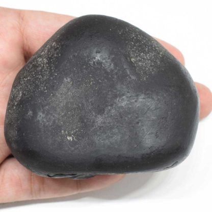 264gms-Damodar-Shaligram-Back