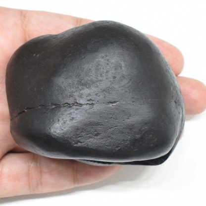 270gms-Golden-Garud-Narayan-Shaligram-Top