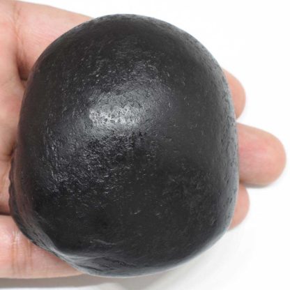 280gms-Kurma-Shaligram-Back