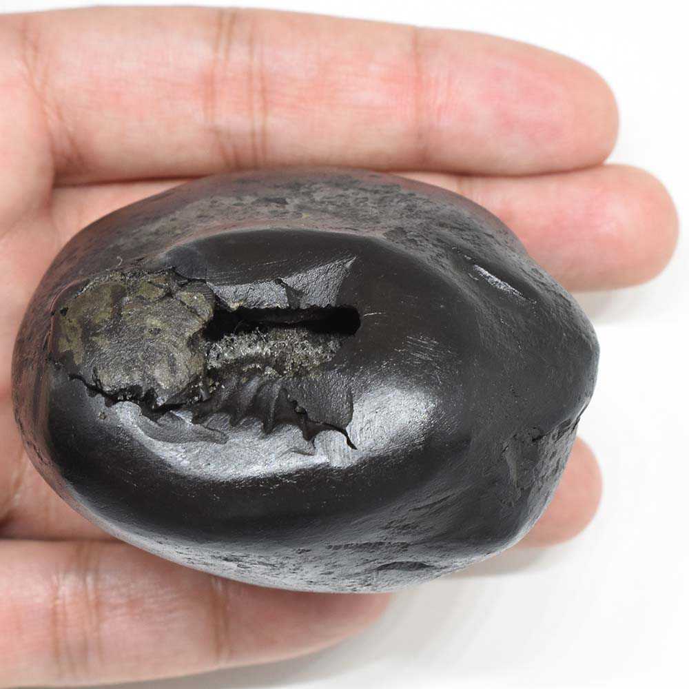 280gms Kurma Shaligram Shila from Gandaki River Nepal