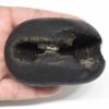286gms-Parshurama-Shaligram