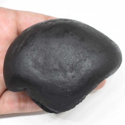 286gms-Parshurama-Shaligram-Back