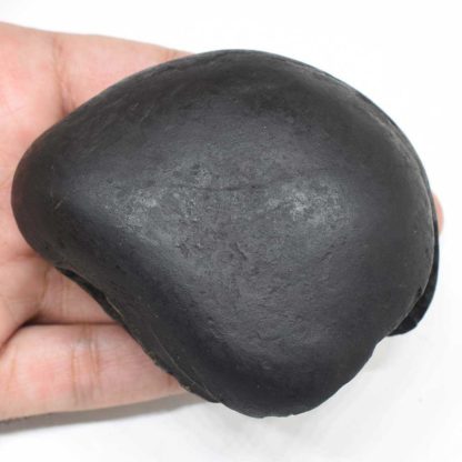 286gms-Parshurama-Shaligram-Top