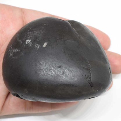 308gms-Damodar-Shaligram-Back