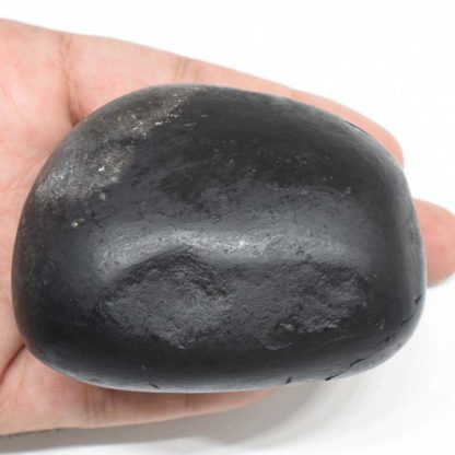 325gms-Damodar-Shaligram-Back