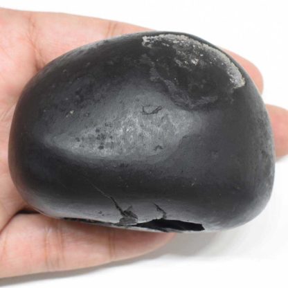 325gms-Damodar-Shaligram-Top