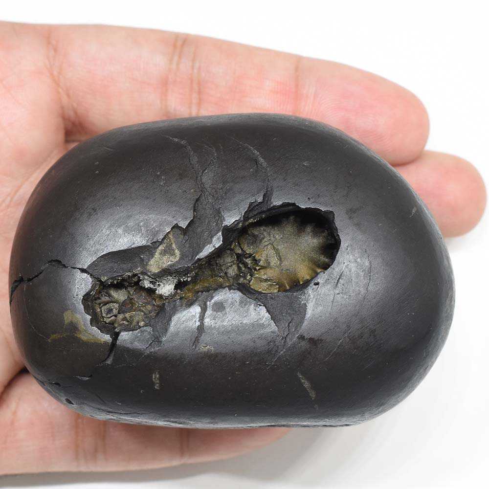 325gms Damodar Shaligram Shila from Gandaki River Nepal