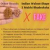 Indian-2-Mukhi-Bhadraksha