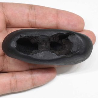 109gms-Kamdhenu-Shaligram