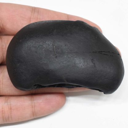 109gms-Kamdhenu-Shaligram-Back