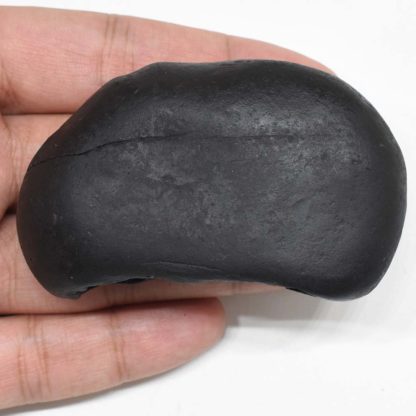 109gms-Kamdhenu-Shaligram-Top