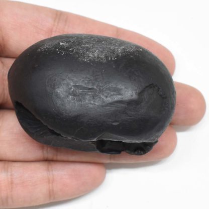 121gms-Kamal-Narayan-Shaligram-Back