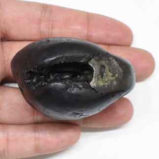 134gms-Krishna-Ladoo-Gopala-Shaligram