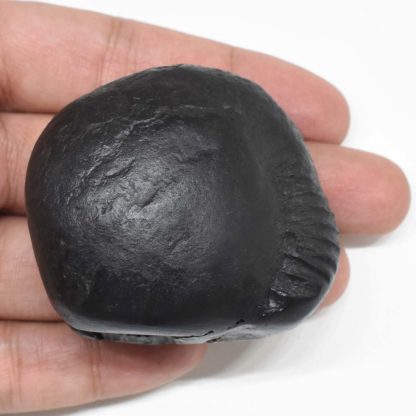 134gms-Krishna-Ladoo-Gopala-Shaligram-Top