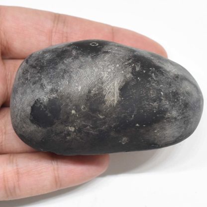 153gms-Kamdhenu-Shaligram-Back