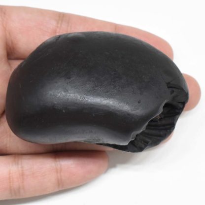 166gms-Kamal-Narayan-Shaligram-Back