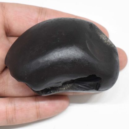 166gms-Kamal-Narayan-Shaligram-Top