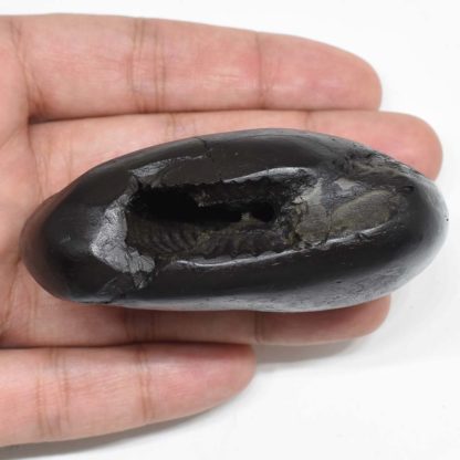 170gms-Surya-Narayan-Shaligram