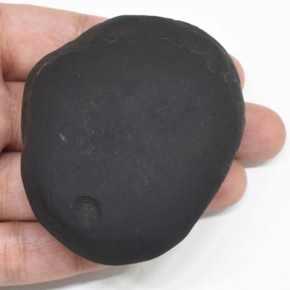 174gms-Laxmi-Varaha-Shaligram-Back